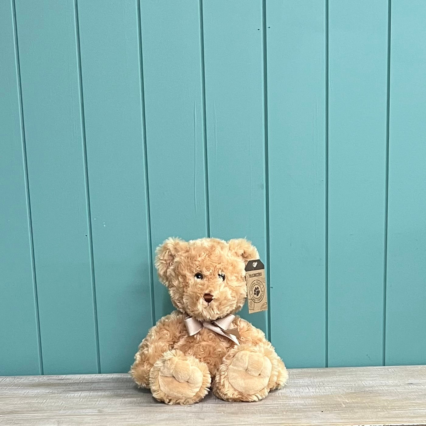 Max Plush Teddy