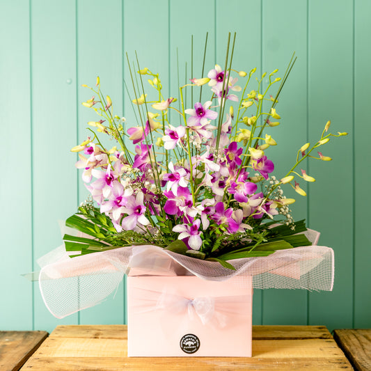 Belinda - Singapore Orchid Box - Large