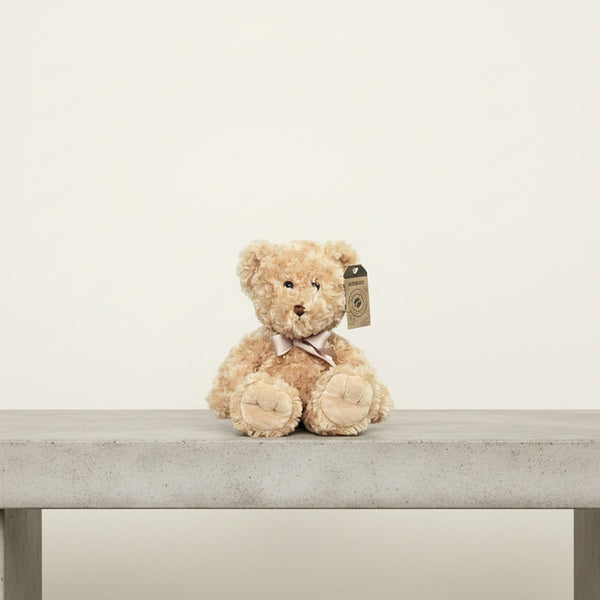 Max Plush Teddy – Renatos Florist